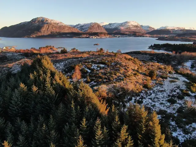 Landbrukseiendom på Atløy med våningshus, uthus og driftsbygning - 269 daa totalt areal — bilde 4